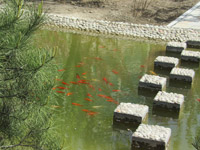 ̫�O������^(q��)