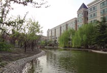 ���L����̲�ʎ��