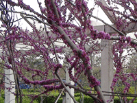 ̫�O�²����O�乫˾���쾰ɫ