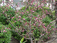 ̫�O�²����O�乫˾���쾰ɫ