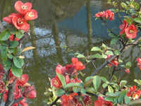 ̫�O�²����O�乫˾���쾰ɫ