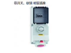 (gu)ʿBS17192_P(gun)(lin)ib 400V/16A/4P/IP67