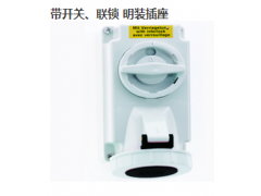 (gu)ʿBS160058_P(gun)(lin)ib 500V/16A/5P/IP67