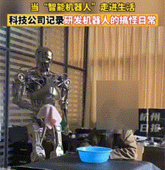 人形機(jī)器人