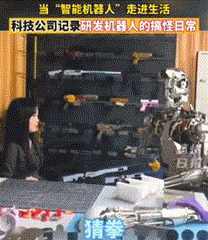 人形機(jī)器人
