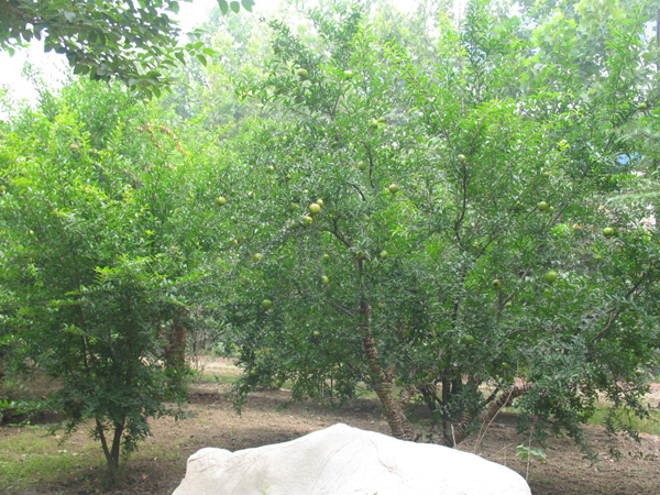 ̫�O�²����O(sh��)�乫˾