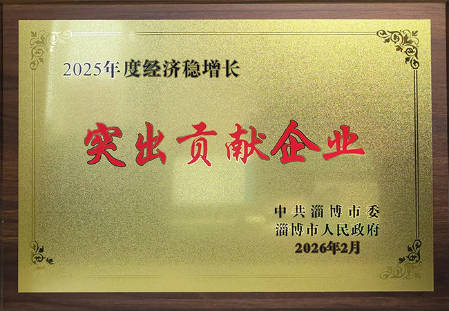 太極公司獲評(píng)淄博市“2025年度經(jīng)濟(jì)穩(wěn)增長(zhǎng)突出貢獻(xiàn)企業(yè)”