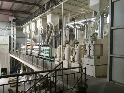 先進成套玉米加工設備 網絡技術驅動下的玉米食品多樣化浪潮